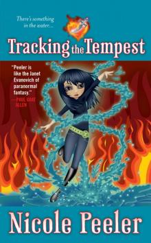 Tracking the Tempest