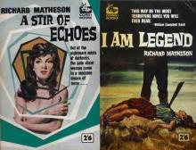A Stir of Echoes
