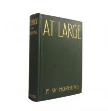 At Large
