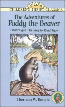 The Adventures of Paddy Beaver
