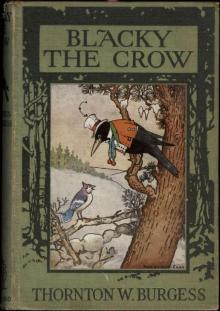 Blacky the Crow