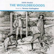 The Wouldbegoods