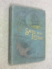 The Lifeboat