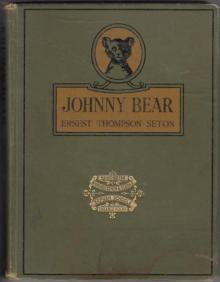 Johnny Bear, and Other Stories from Lives of the Hunted