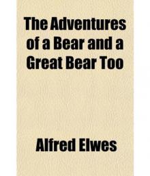 Adventures of a Bear, and a Great Bear Too