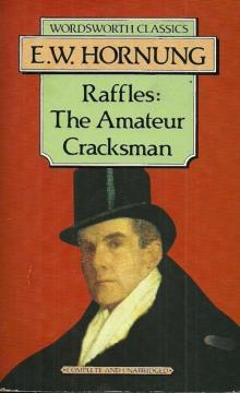 The Amateur Cracksman