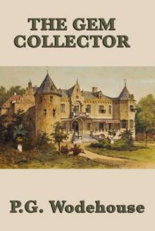 The Gem Collector The Gem Collector