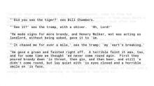 A Tigers Skin A Tigers Skin