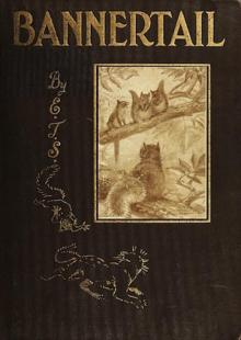 Bannertail: The Story of a Graysquirrel
