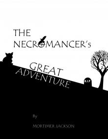 The Necromancer's Great Adventure The Necromancer's Great Adventure