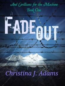 Fadeout Fadeout
