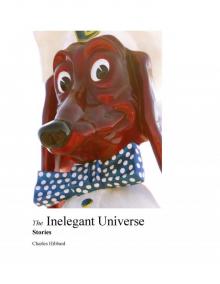 The Inelegant Universe The Inelegant Universe