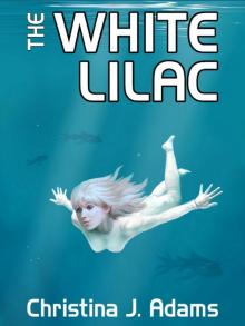 The White Lilac The White Lilac