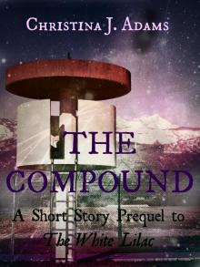 The Compound The Compound