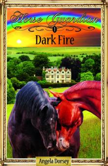 Dark Fire Dark Fire