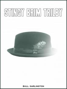 Stingy Brim Trilby Stingy Brim Trilby