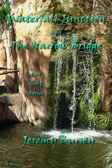 Waterfall Junction and The Narrow Bridge Waterfall Junction and The Narrow Bridge
