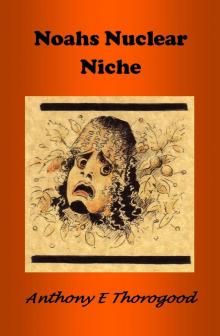Noahs Nuclear Niche Noahs Nuclear Niche