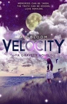 Velocity: The Gravity Series #2
