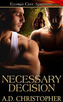 NecessaryDecision NecessaryDecision