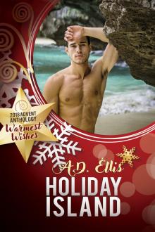 Holiday Island Holiday Island