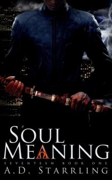 Soul Meaning Soul Meaning