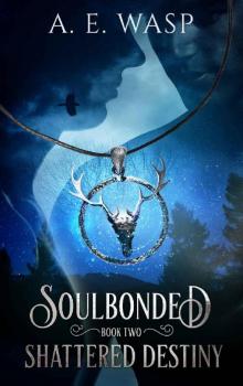 Shattered Destiny (Soulbonded Book 2) Shattered Destiny (Soulbonded Book 2)
