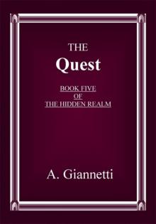 The Quest (The Hidden Realm Book 5) The Quest (The Hidden Realm Book 5)
