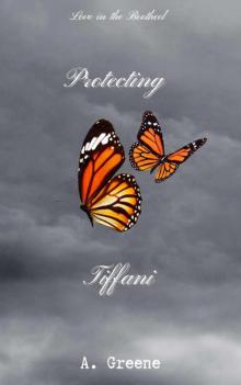 Protecting Tiffani (Love in the Bootheel Series Book 1)