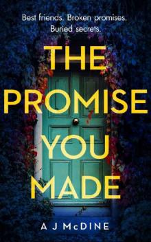 The Promise You Made The Promise You Made