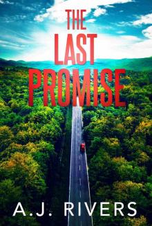 The Last Promise (Dean Steele Mystery Thriller Book 7)