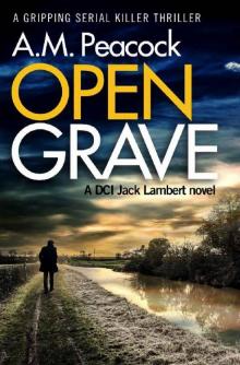 Open Grave: a gripping serial killer thriller Open Grave: a gripping serial killer thriller