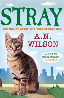 Stray Stray