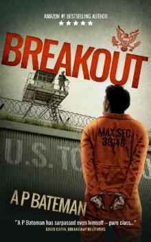 Breakout (Alex King Book 7) Breakout (Alex King Book 7)