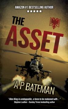 The Asset (Alex King Book 10) The Asset (Alex King Book 10)