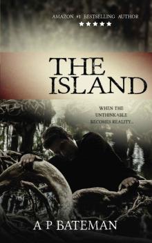 The Island (Rob Stone Book 3) The Island (Rob Stone Book 3)