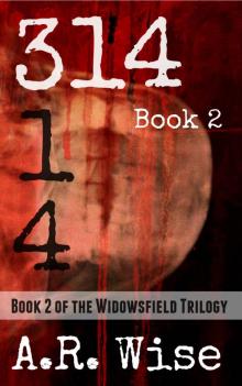 314 Book 2 (Widowsfield Trilogy)