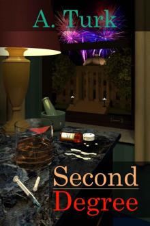 Second Degree (Benjamin Davis Book Series 2) Second Degree (Benjamin Davis Book Series 2)