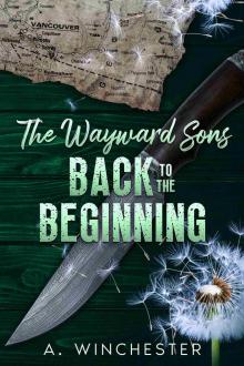 The Wayward Sons: Back to the Beginning