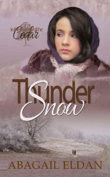 Thunder Snow Thunder Snow
