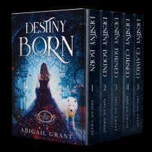 Destiny Born Complete Series: Books 1-5 (YA Fantasy Romance)