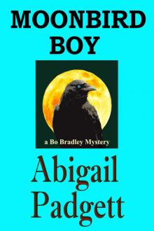 Moonbird Boy (Bo Bradley Mysteries, Book Four)