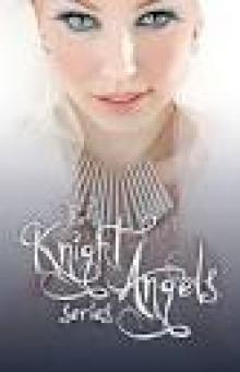 Knight Angels: Book of Revenge Knight Angels: Book of Revenge