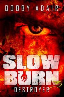 Slow Burn (Book 3): Destroyer