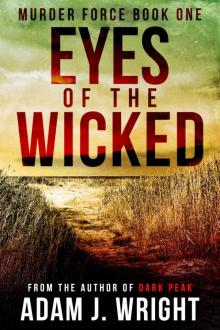 Eyes of the Wicked Eyes of the Wicked