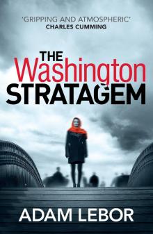The Washington Stratagem The Washington Stratagem