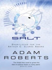 Salt (GollanczF.)
