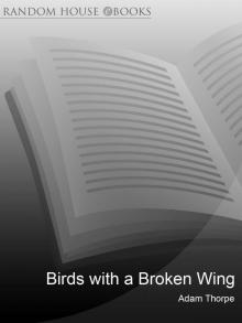 Birds With a Broken Wing Birds With a Broken Wing