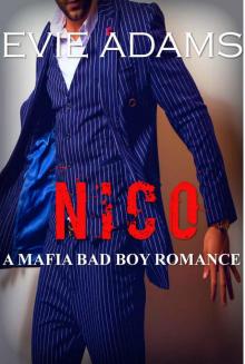 NICO: A Mafia Bad Boy Romance