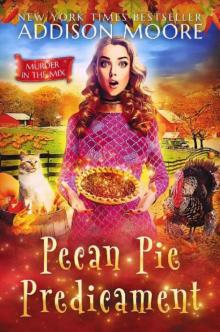 Pecan Pie Predicament Pecan Pie Predicament